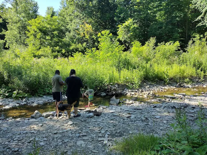 Woodside Campsites Picture 5