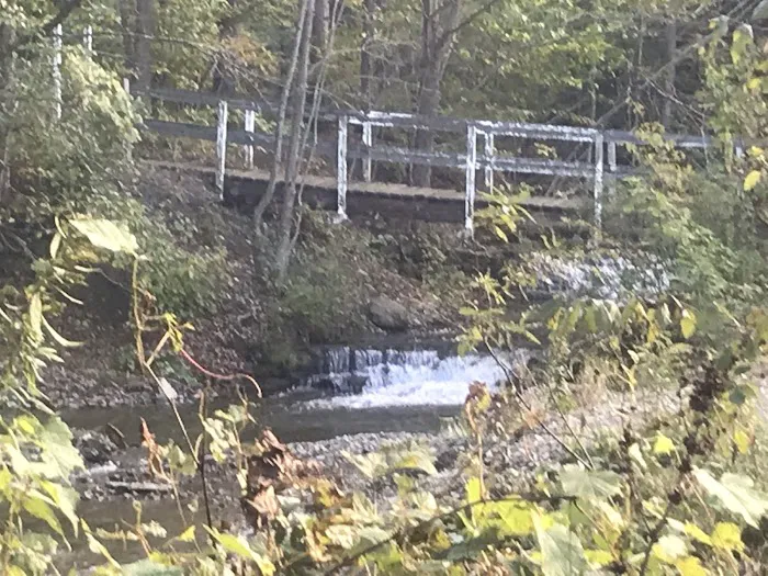 Woodside Campsites Picture 2