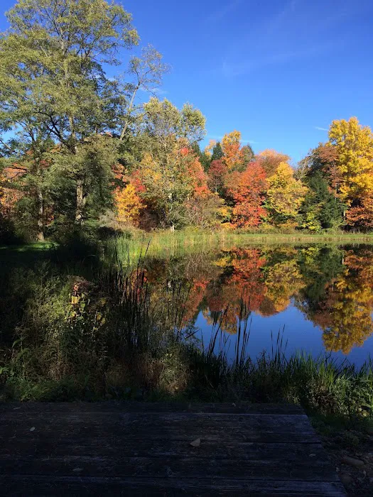 Woodside Campsites Picture 6