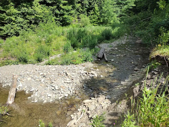 Woodside Campsites Picture 4