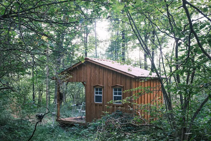 Angie's Country Cabins Bed & Breakfast Picture 3