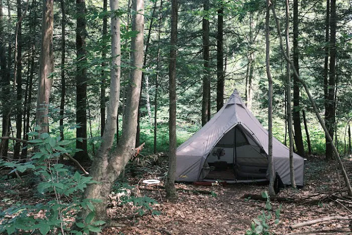 Angie's Country Cabins Bed & Breakfast Picture 8