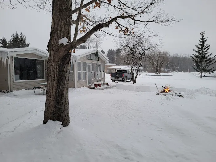 Lily Pad Lodge Picture 2