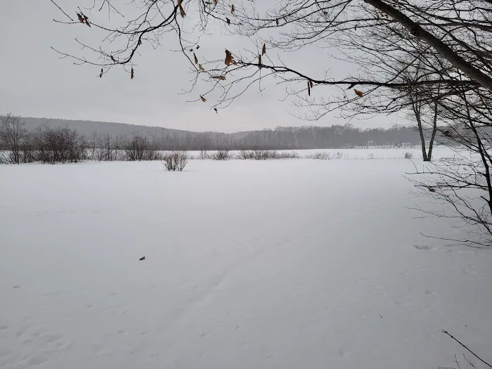 Lily Pad Lodge Picture 1