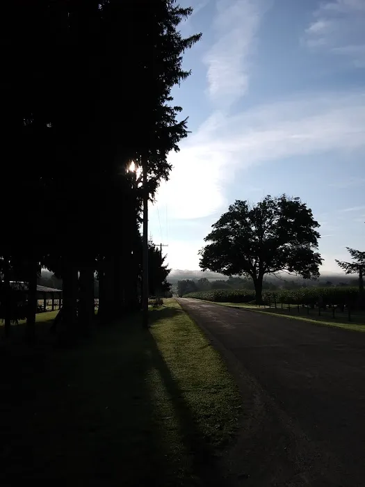 Chautauqua County Fireman's Fraternity in Stockton NY Picture 2