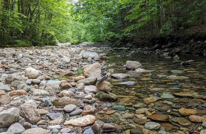 Wildwood Campground and Picnic Area Picture 5