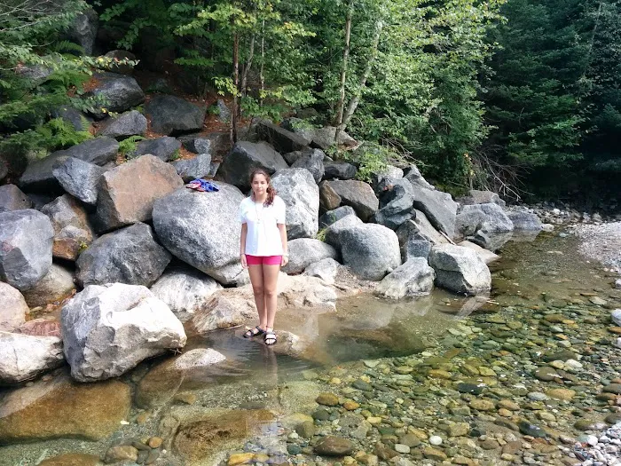 Wildwood Campground and Picnic Area Picture 6