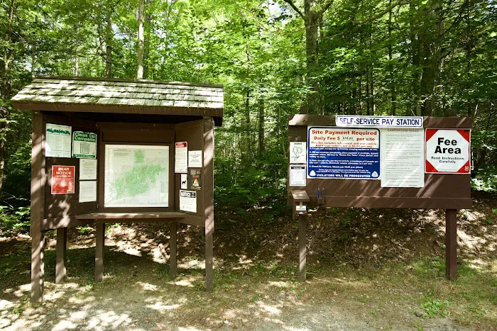 Wildwood Campground and Picnic Area Picture 10