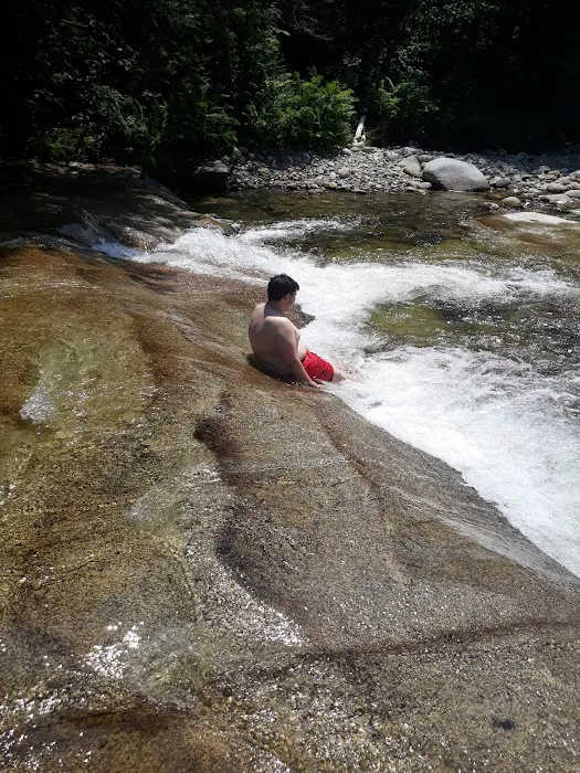 Wildwood Campground and Picnic Area Picture 1