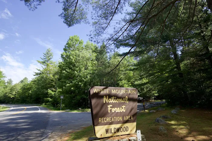 Wildwood Campground and Picnic Area Picture 4