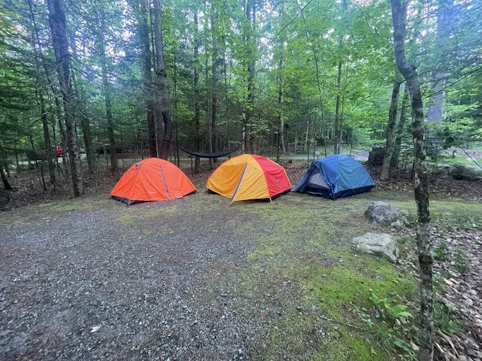 Wildwood Campground and Picnic Area Picture 9
