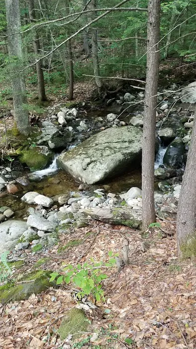 Wildwood Campground and Picnic Area Picture 7