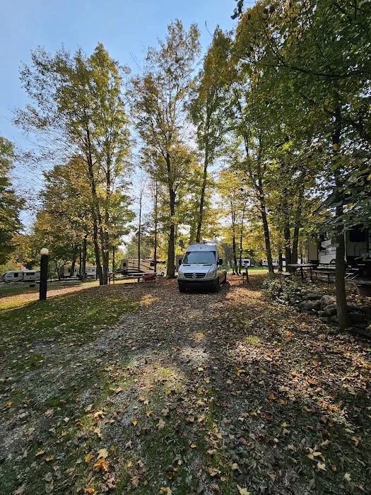 Maple Grove Campground Picture 3