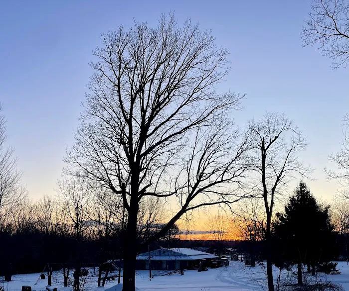 Shady Oaks Camping Resort Picture 9