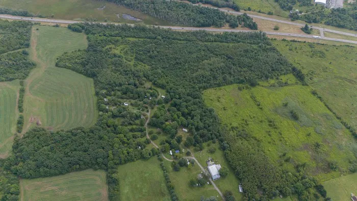 Shady Oaks Camping Resort Picture 5