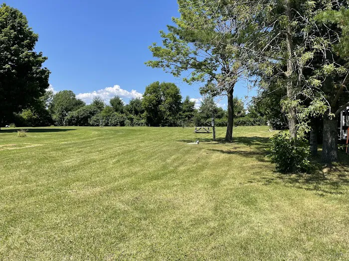 Shady Oaks Camping Resort Picture 10