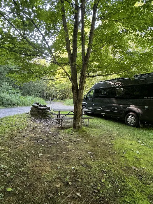 Brewster River Campground Picture 8