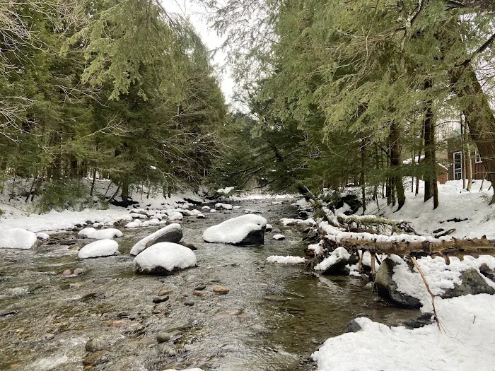 Brewster River Campground Picture 7