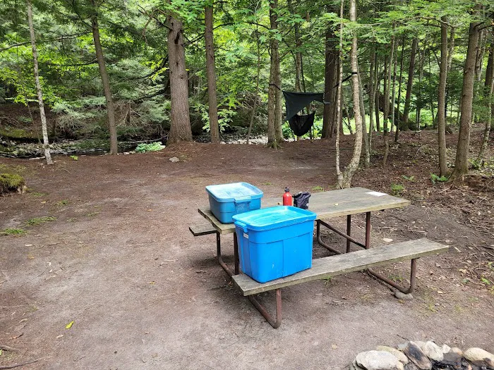 Brewster River Campground Picture 2