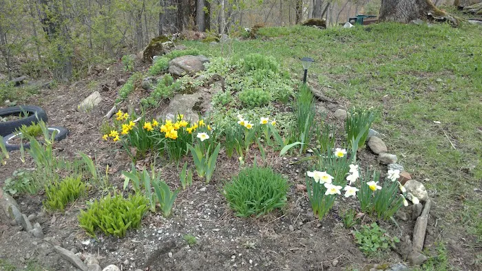 Hazen’s Notch Campground Picture 9