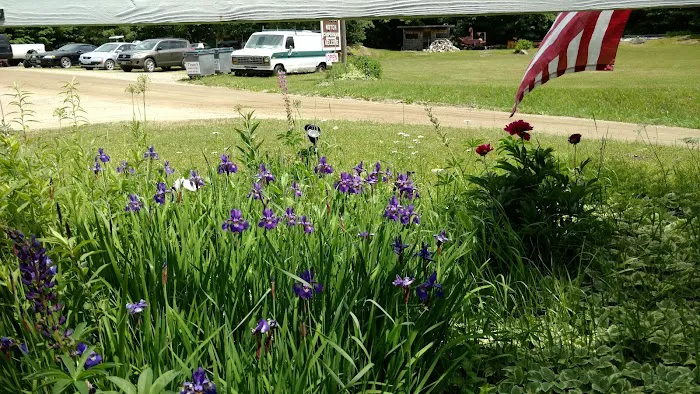 Hazen’s Notch Campground Picture 6
