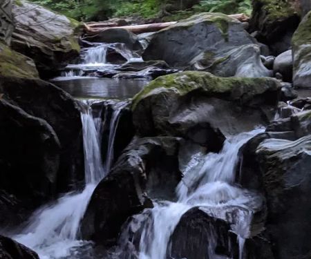 Barrewood Campground