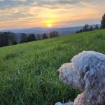 Maple Brook Campground