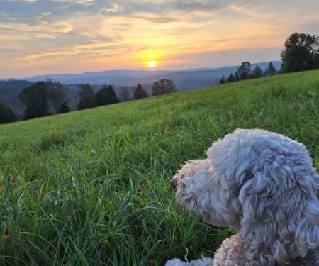Maple Brook Campground