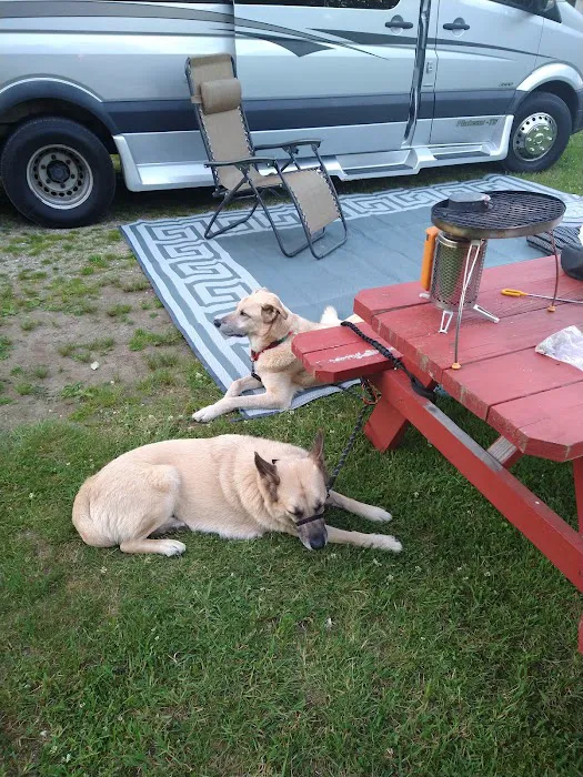 Breezy Meadows Campground Picture 2