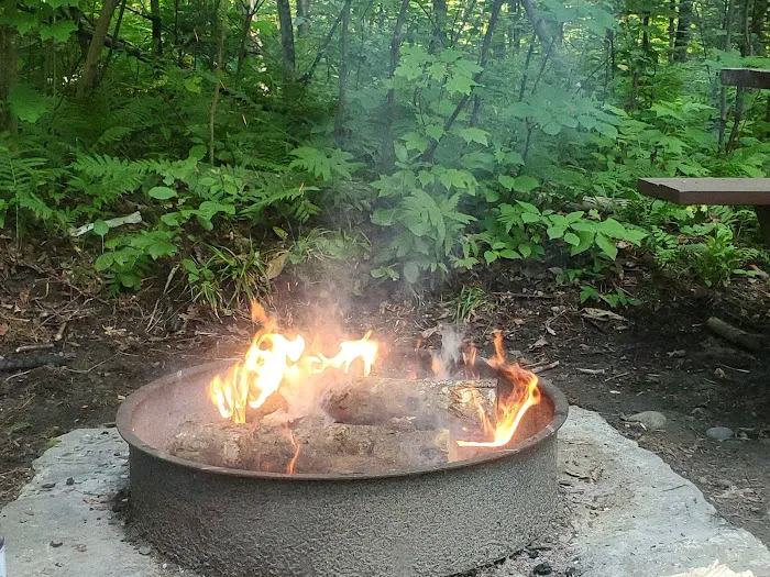 Burke Mountain Campground Picture 9