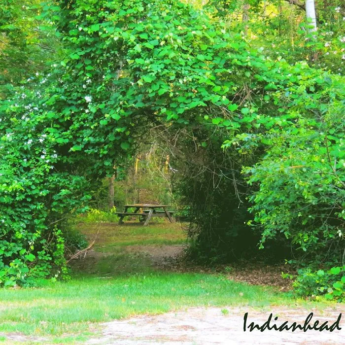 Indianhead Resort Picture 8