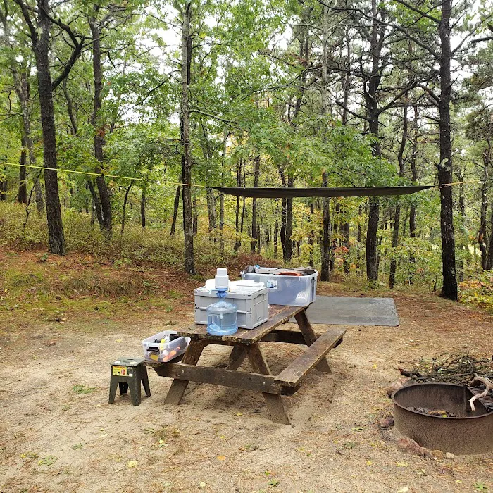 Shawme-Crowell State Forest Picture 3