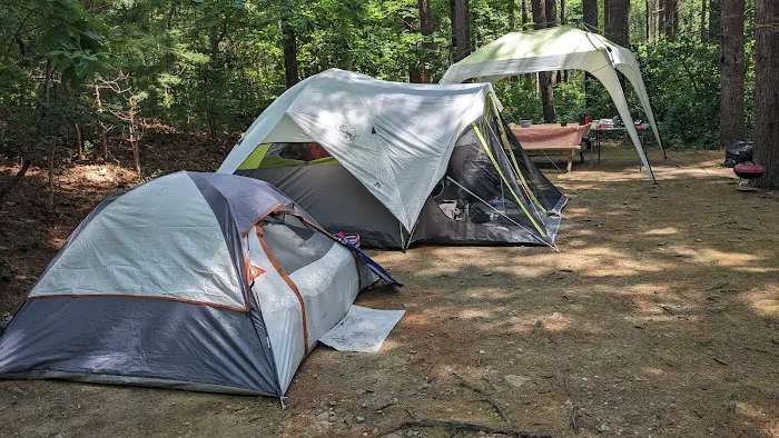 Shawme-Crowell State Forest Picture 1