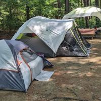 Shawme-Crowell State Forest ico