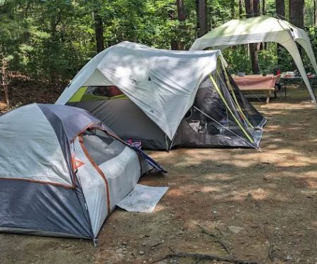 Shawme-Crowell State Forest