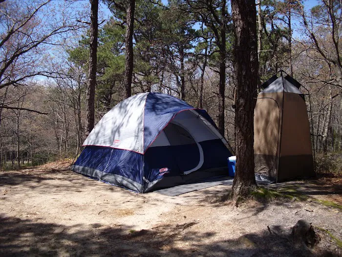 Shawme-Crowell State Forest Picture 4