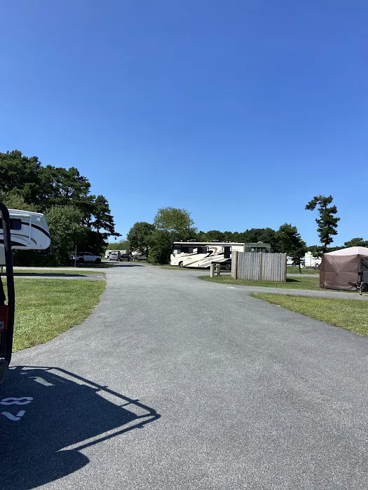 Scusset Beach Campground Picture 2