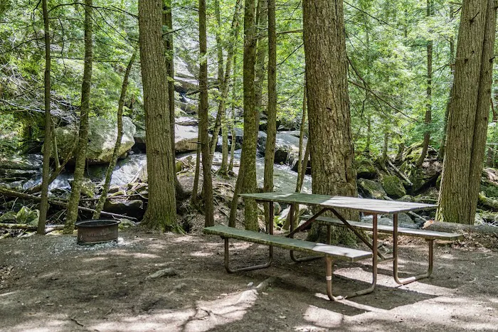 Belview Campground Picture 10