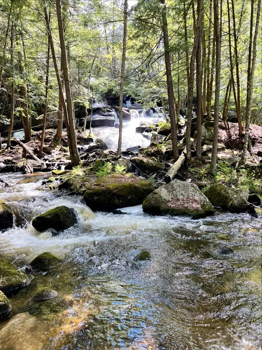 Belview Campground Picture 9