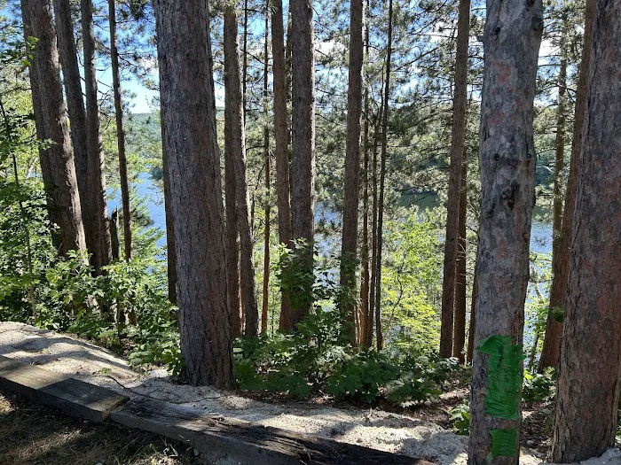 Lakeside Camping Picture 8