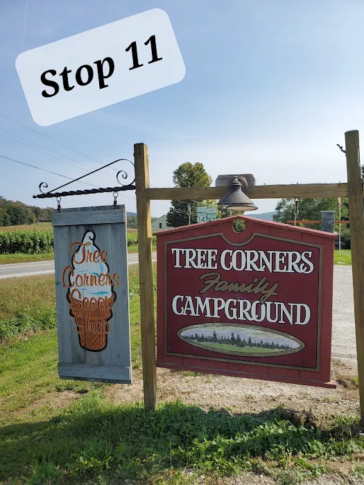 Tree Corners Family Campground Picture 3
