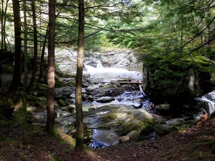 Millbrook Campground Picture 3