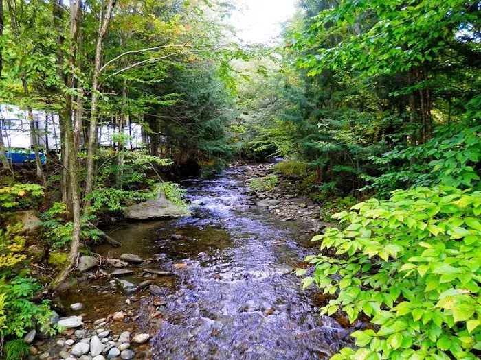 Millbrook Campground Picture 2
