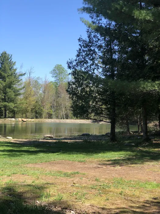 Base Camp RV Park and Campground Picture 7