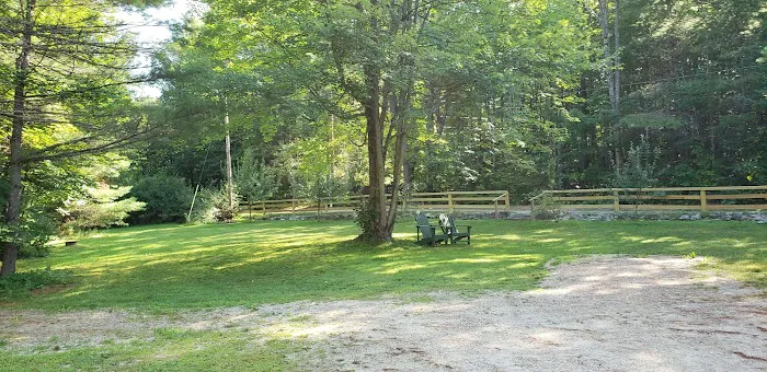 Willey Brook Campground Picture 5