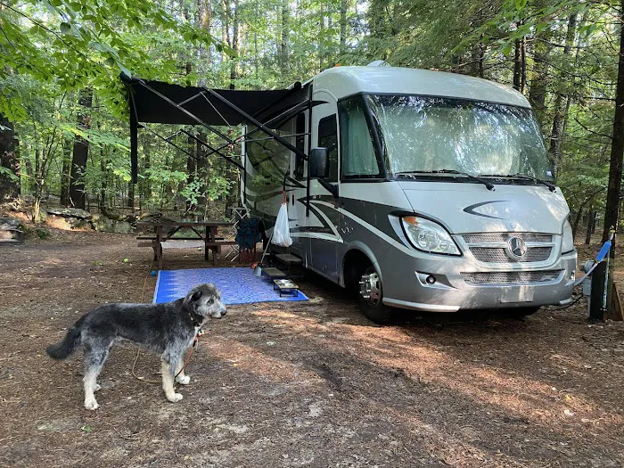 Wolfeboro Campground Picture 7