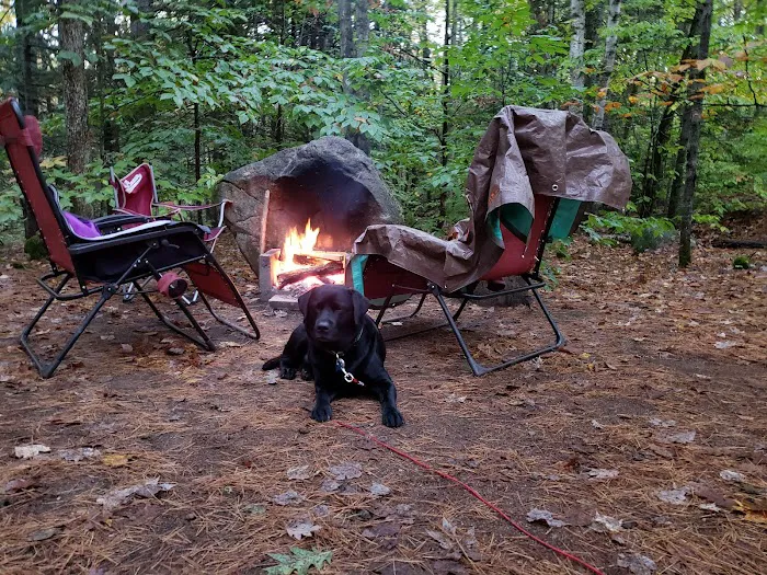 Wolfeboro Campground Picture 8