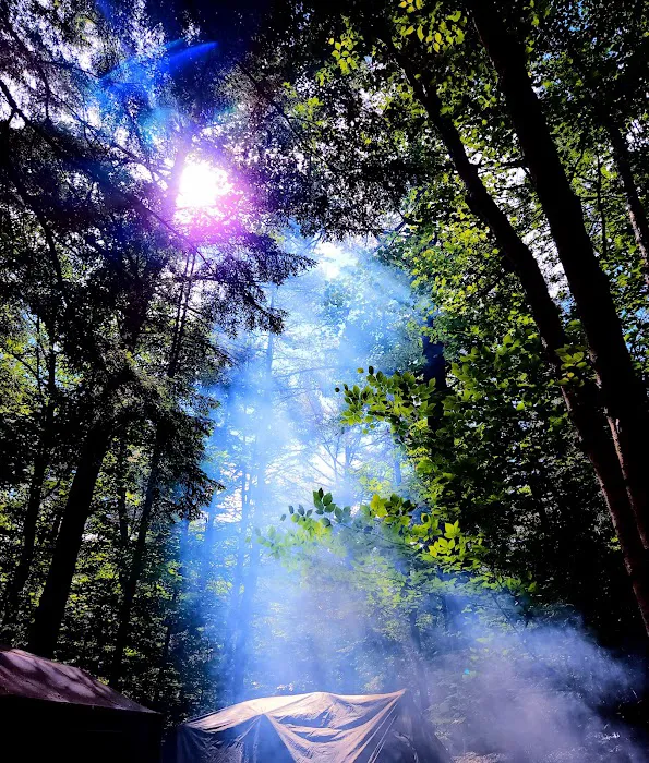 Wolfeboro Campground Picture 9