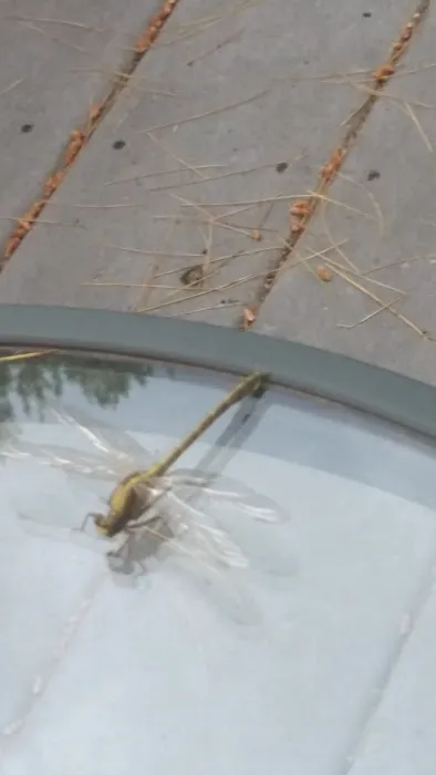 Sunshine Acres Campground Picture 1