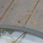 Sunshine Acres Campground